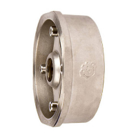 Клапан обратный дисковый RUSHWORK - Ду15 (ф/ф, PN40, Tmax 300°C, сталь)